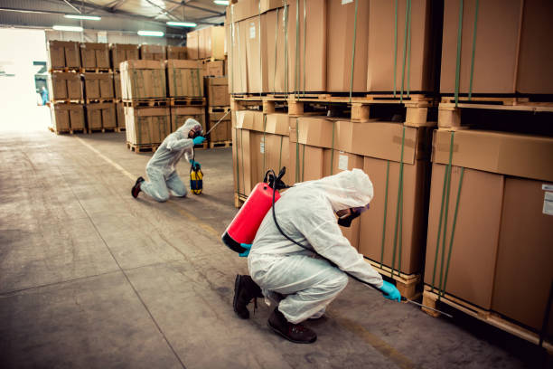 Best Local Pest Control Services  in Kdeer, IL