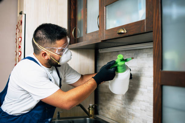 Best Wildlife Control Services  in Kdeer, IL