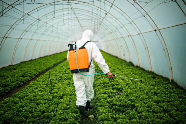 Best Affordable Pest Control Services  in Kdeer, IL