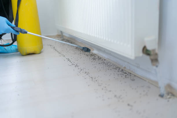 Best Insect Control  in Kdeer, IL