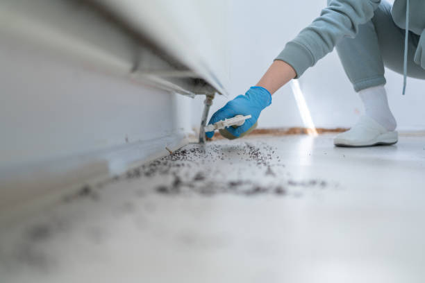 Best Emergency Pest Control  in Kdeer, IL
